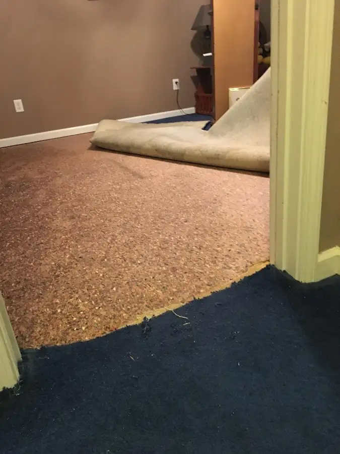 Carpet pad removal revealing water damage during Drying & Dehumidification in Gray